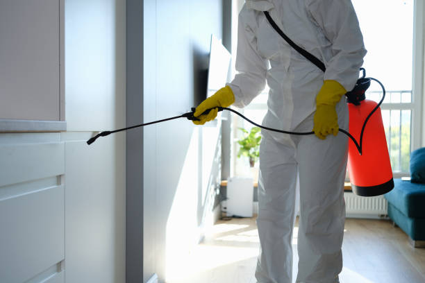 Professional Mold Remediation in Rainelle, WV